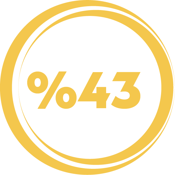 %43 İkonu